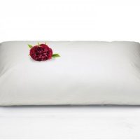 Cuscino in piuma Daunenstep Gold