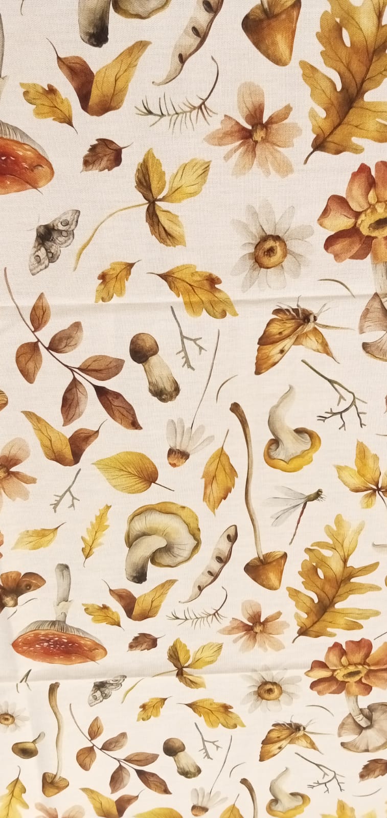 Tovaglia in cotone Funghetti
