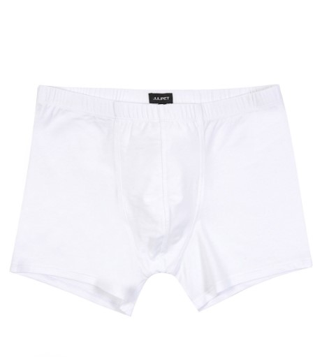 Boxer Julipet Icos