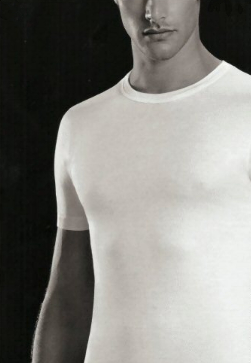 T- shirt cotone Julipet Istant